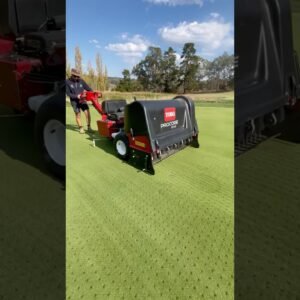 Lawn Renovation Week!!