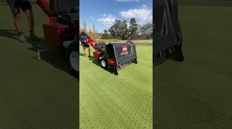 Lawn Renovation Week!!