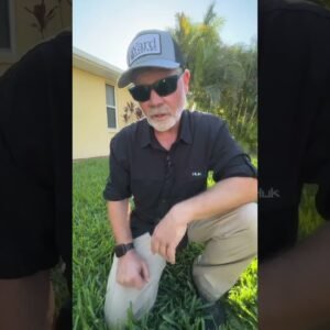 25x Rate - How To BURN A Lawn with Fertilizer