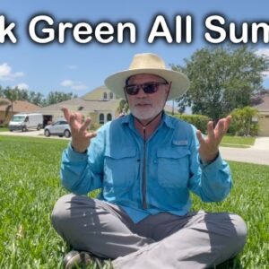 How To Keep Your Lawn GREEN This SUMMER