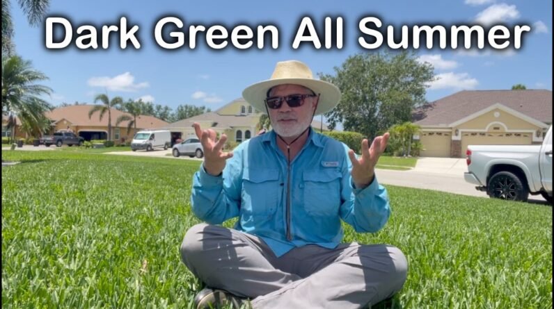 How To Keep Your Lawn GREEN This SUMMER