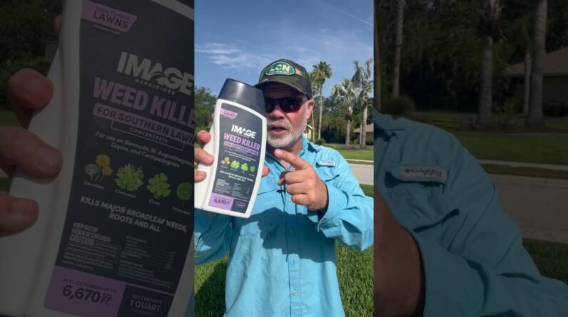 Image Nutsedge vs Southern Weed Control // Green/Yellow vs PURPLE Label