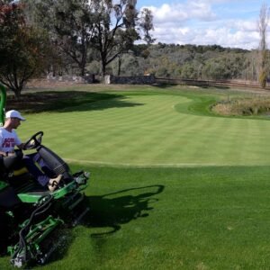Love and Care for Your Lawn // Fixing my Lawn