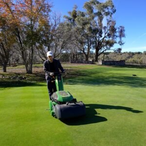 Is This Overkill? Mowing my Lawn at 2.76mm (0.109 inches)
