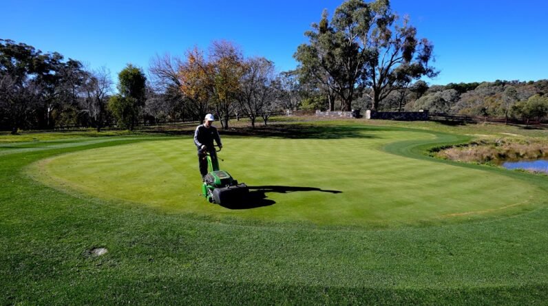 It Doesn't Get Any Better Than This!! // Mow, Roll, Fert and More