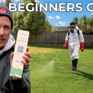 Complete Guide to Fixing Your Lawn (Start Here!)