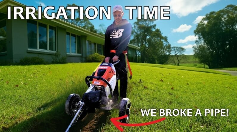 I Destroyed My Kikuyu Lawn… For Irrigation