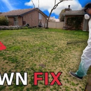 Lawn Renovation Prep // Don't Miss This Step