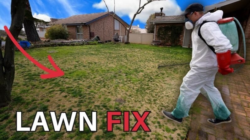 Lawn Renovation Prep // Don't Miss This Step