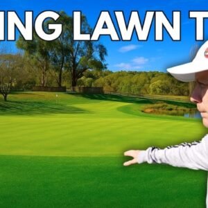 Spring Lawn Care Guide for a Healthier Lawn