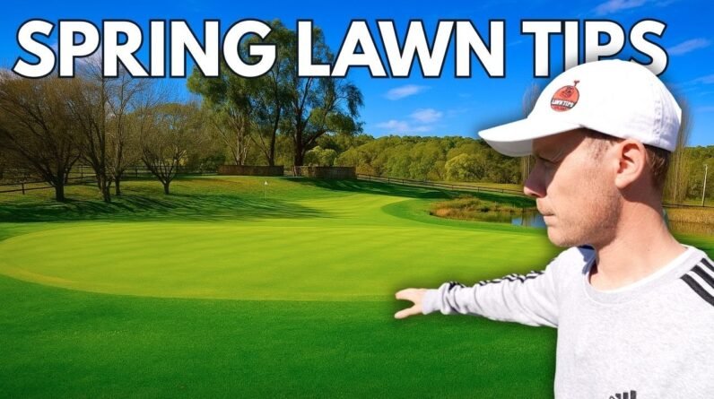 Spring Lawn Care Guide for a Healthier Lawn
