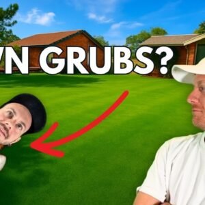The Best Spring Lawn Advice I Can Give