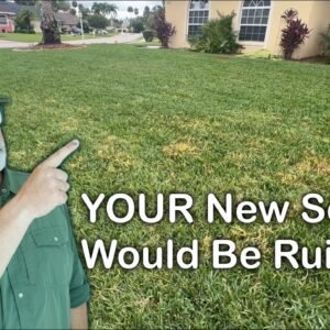 Torpedograss Multi-Invasion - Systemic Weed Control Results Over 7 Days