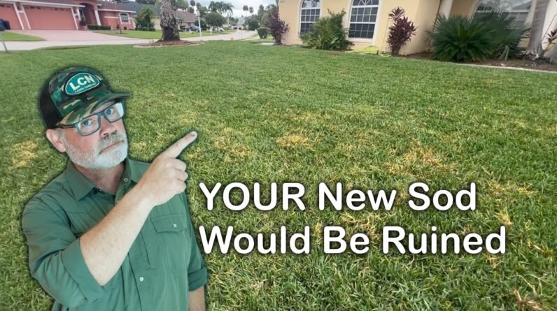 Torpedograss Multi-Invasion - Systemic Weed Control Results Over 7 Days