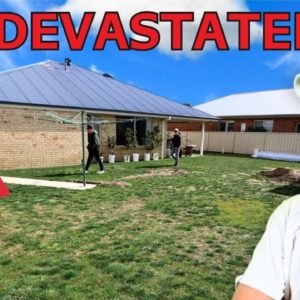 Visiting My Old Lawn