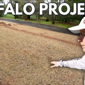 All the Lawn Projects We’re Tackling This Season