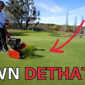 Dethatching + Topdressing for a Healthier Lawn