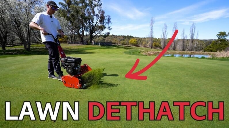 Dethatching + Topdressing for a Healthier Lawn