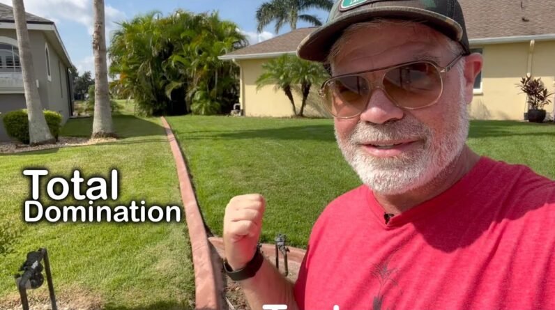 I Made A Concrete Border Between Me and My Neighbor