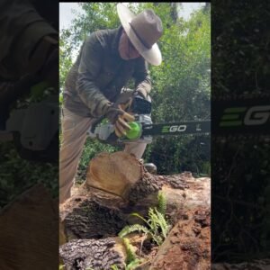 No More Fumes! Ego Electric Chainsaws