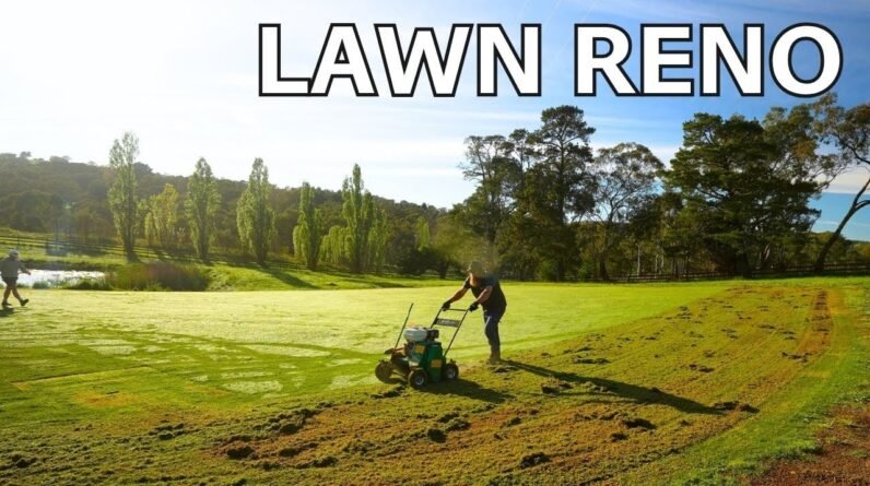 Full Lawn Renovation From Start To Finish