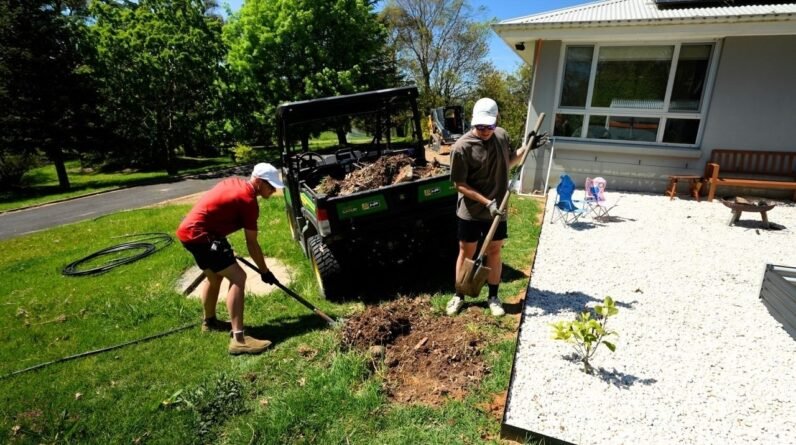 Overgrown Garden and Lawn Clean Up