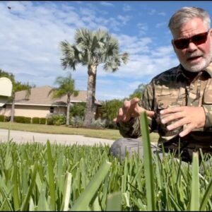 Why My Lawn Is Greener Than Yours & Almost Wrecked My Tractor