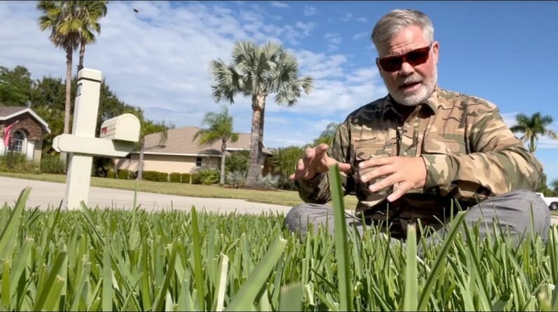 Why My Lawn Is Greener Than Yours & Almost Wrecked My Tractor