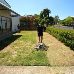 Will A Lawn Renovation Fix This Lawn?