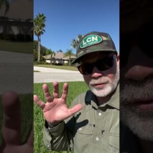 Winter Lawn Care - Florida, Texas and SoCal #winter #lawncare