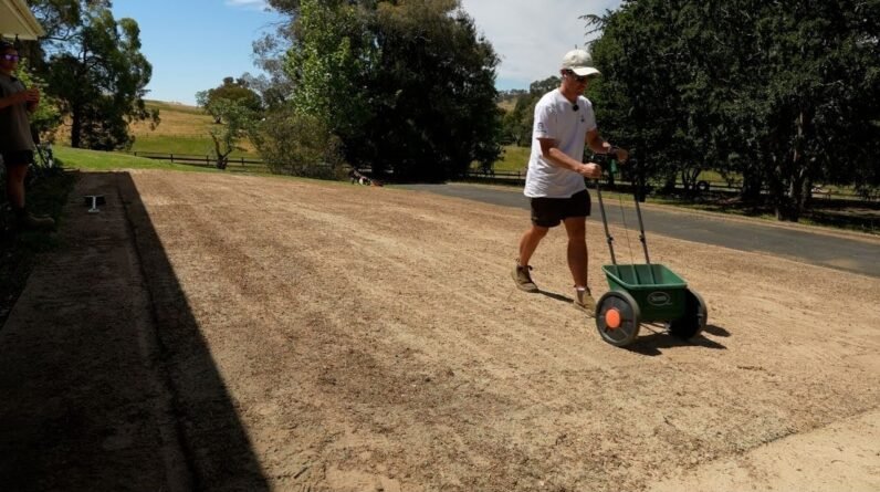 SEEDING My Front LAWN with Couch Grass