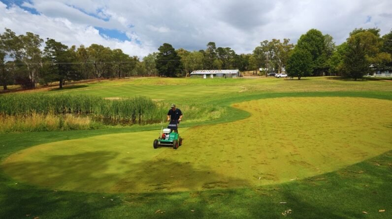 Tearing up my Lawn? // Heavy Dethatch
