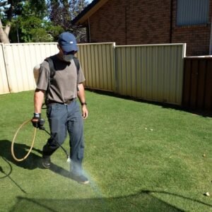 Why You Should Be Using This Product On Your Lawn // Growth Regulator