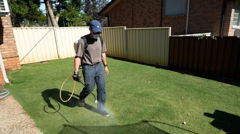 Why You Should Be Using This Product On Your Lawn // Growth Regulator