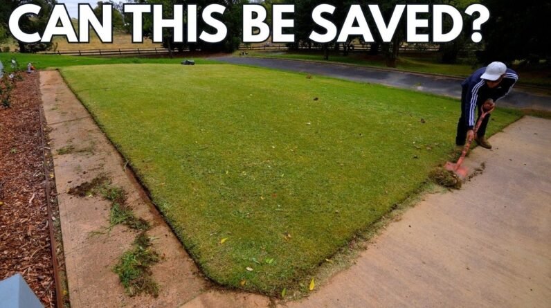 Can we fix all the issues with this Lawn?