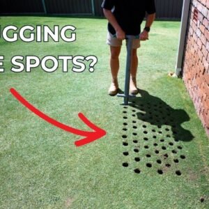 How To Plug Bare Spots // PGR & Plugging