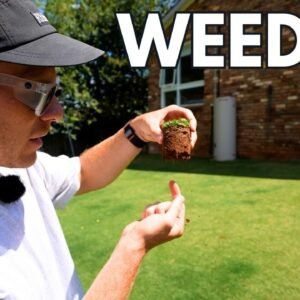 This Is Getting Bad // Weed Help