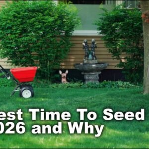When To Seed Your Lawn in 2026 🌱 ALL Grass Types