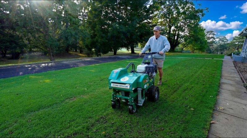 Desperately NEEDED Lawn Renovation // Speeding Up Repair
