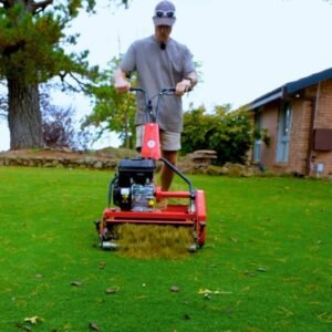 Did I Make A Mistake Doing This? // Late Season Dethatch