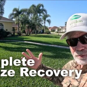 Greenest St Augustine On The Market - Freeze Recovery Magic