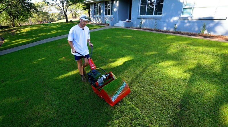 This is BEST This Has Looked // First Reel Mow