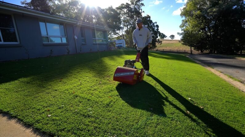 Relaxing Sunday Afternoon Mow at 22mm